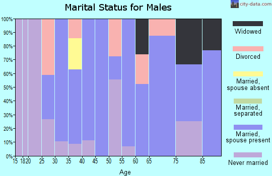 Zip code 88124 marital status for males