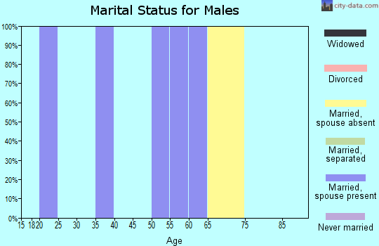 Zip code 88125 marital status for males