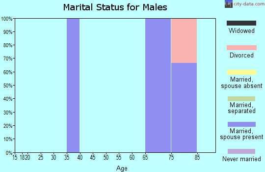 Zip code 88134 marital status for males
