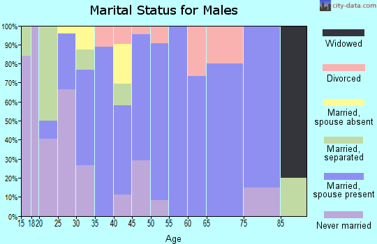 Zip code 88135 marital status for males