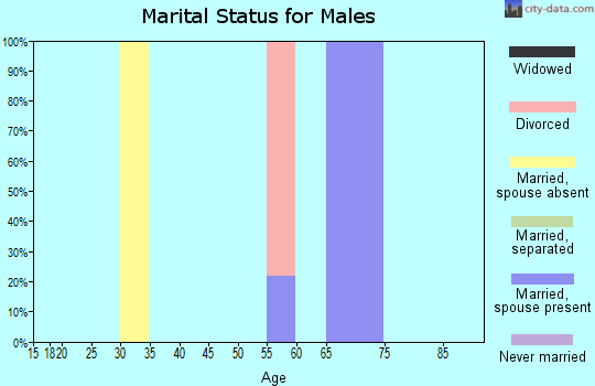 Zip code 88136 marital status for males