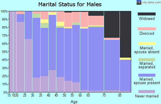 Zip code 88201 marital status for males
