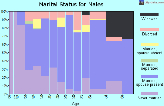 Zip code 88210 marital status for males