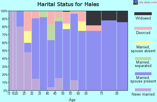 Zip code 88230 marital status for males