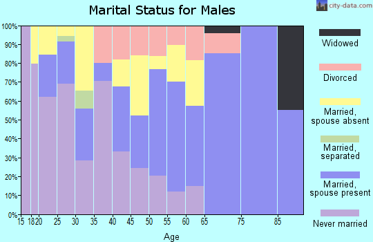 Zip code 88232 marital status for males