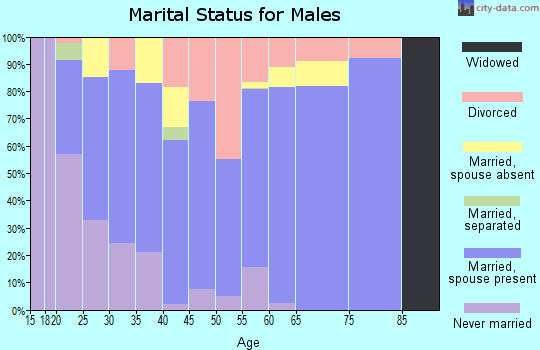 Zip code 88242 marital status for males