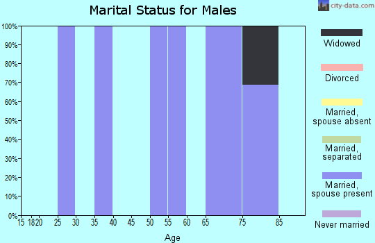 Zip code 88250 marital status for males