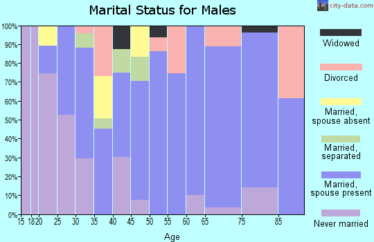 Zip code 88252 marital status for males