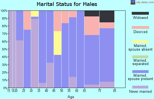 Zip code 88253 marital status for males