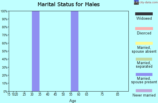 Zip code 88254 marital status for males
