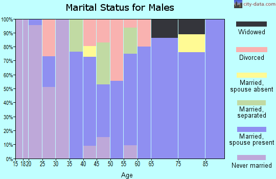 Zip code 88256 marital status for males