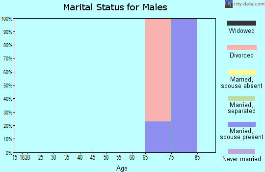 Zip code 88263 marital status for males