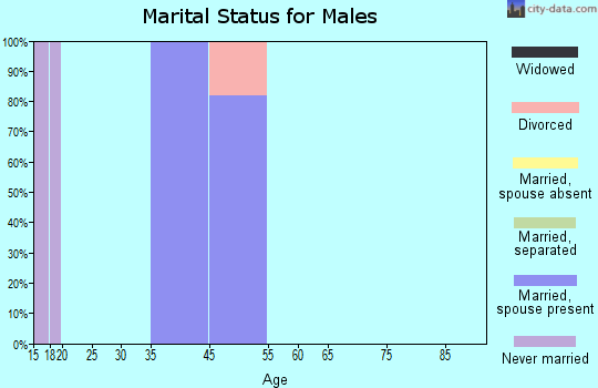 Zip code 88268 marital status for males