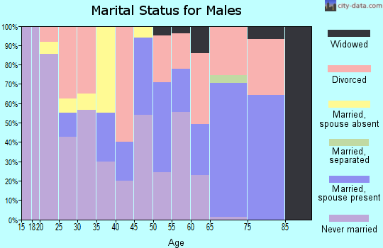 Zip code 88301 marital status for males