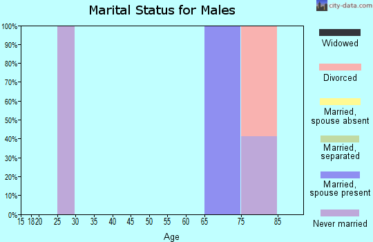 Zip code 88314 marital status for males
