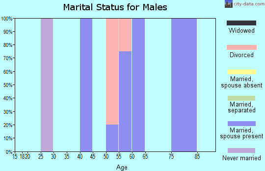 Zip code 88321 marital status for males