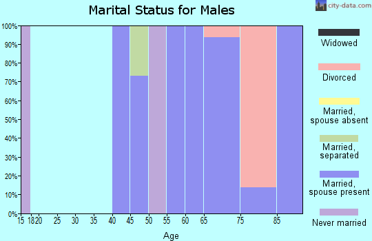 Zip code 88325 marital status for males