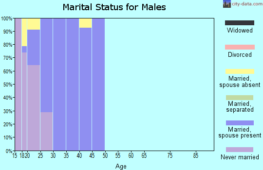 Zip code 88330 marital status for males