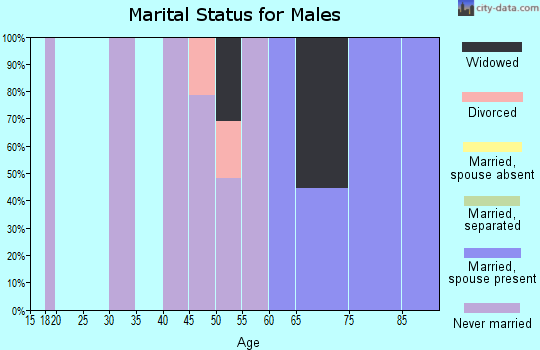 Zip code 88336 marital status for males