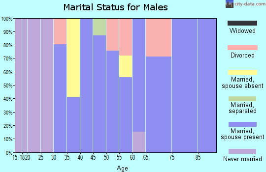 Zip code 88337 marital status for males