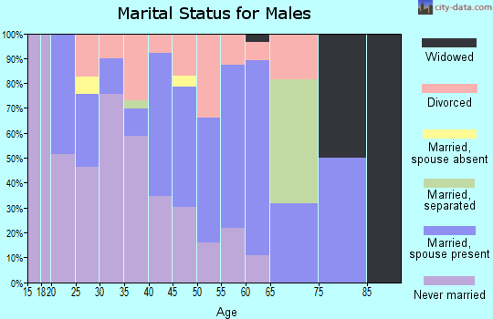 Zip code 88340 marital status for males