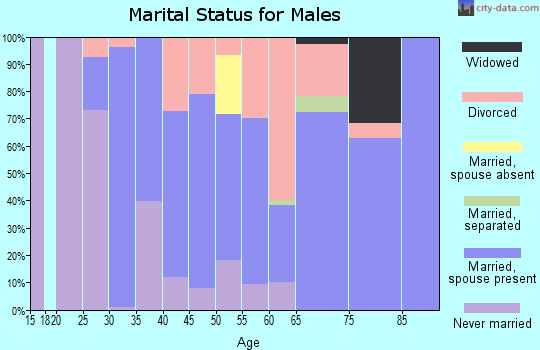 Zip code 88345 marital status for males