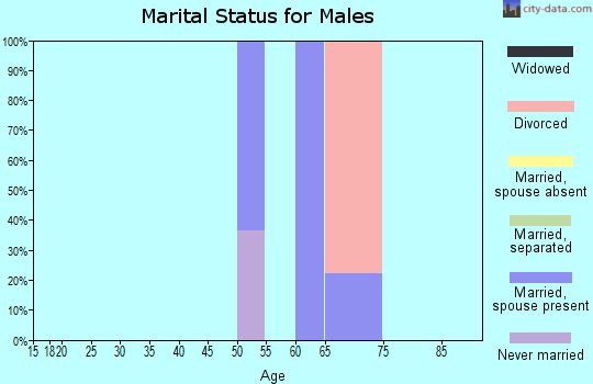 Zip code 88350 marital status for males