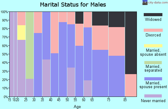 Zip code 88352 marital status for males