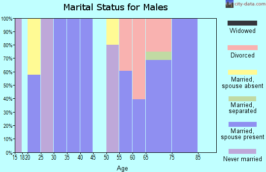 Zip code 88353 marital status for males