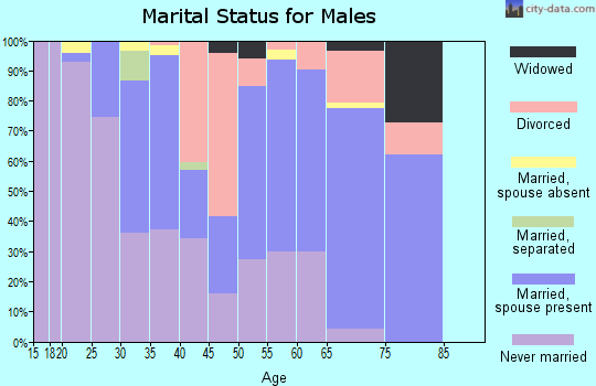 Zip code 88401 marital status for males