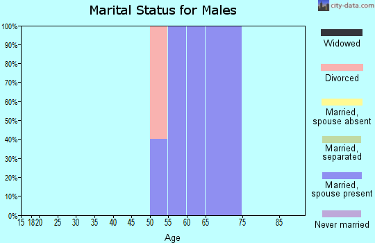 Zip code 88411 marital status for males