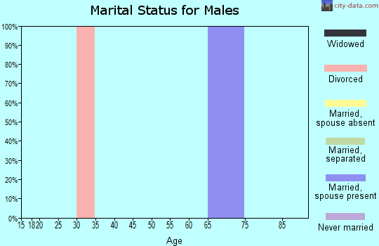 Zip code 88422 marital status for males