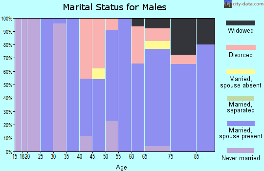 Zip code 88426 marital status for males