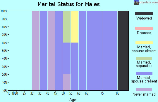 Zip code 88427 marital status for males