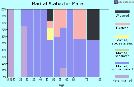 Zip code 88434 marital status for males