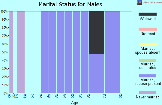 Zip code 89001 marital status for males