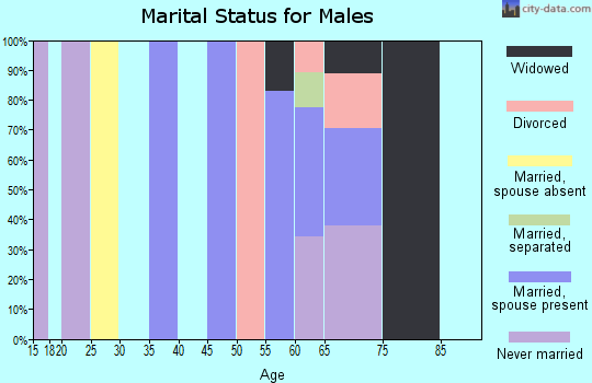 Zip code 89003 marital status for males