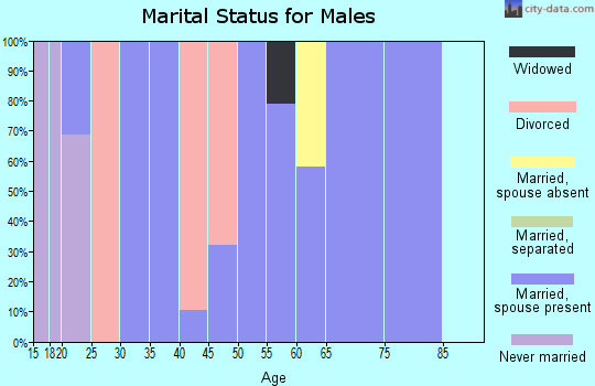 Zip code 89007 marital status for males