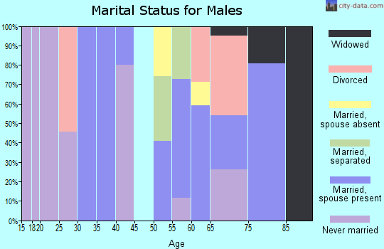 Zip code 89008 marital status for males