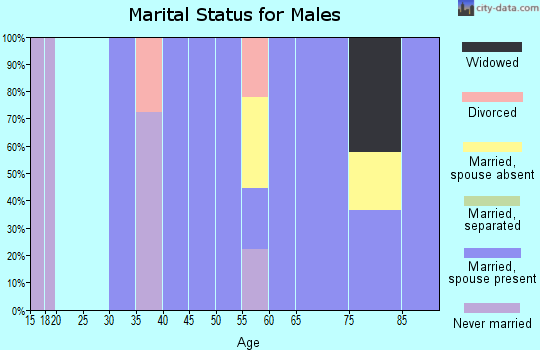 Zip code 89010 marital status for males