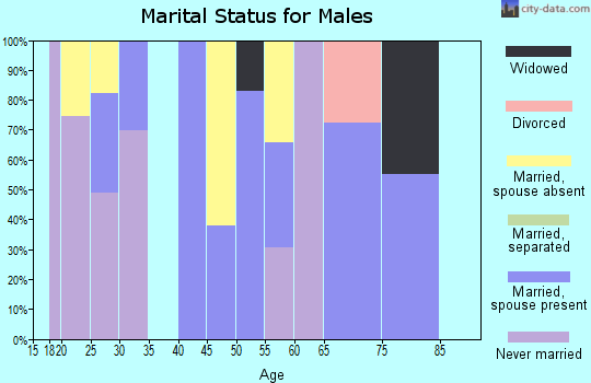 Zip code 89020 marital status for males