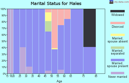 Zip code 89021 marital status for males