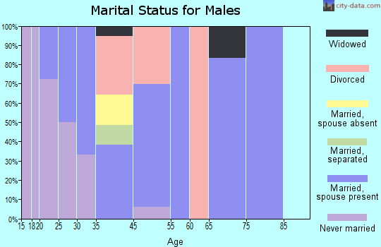 Zip code 89024 marital status for males