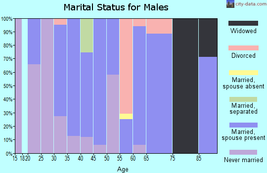 Zip code 89025 marital status for males