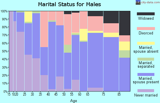 Zip code 89027 marital status for males