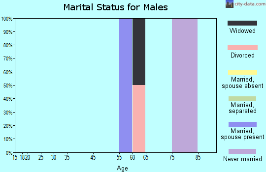 Zip code 89028 marital status for males