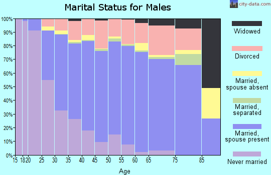 Zip code 89031 marital status for males