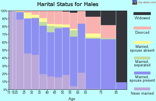 Zip code 89032 marital status for males
