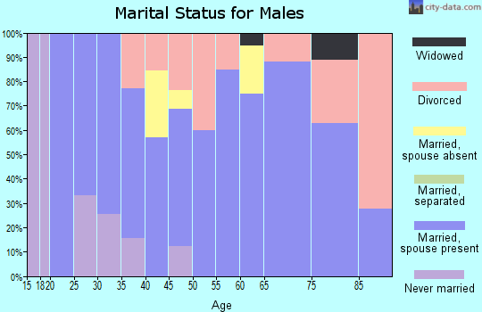 Zip code 89040 marital status for males