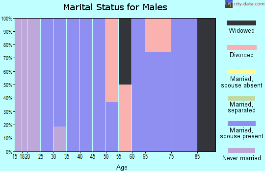 Zip code 89042 marital status for males